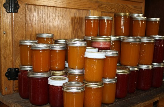 Canning food at home
